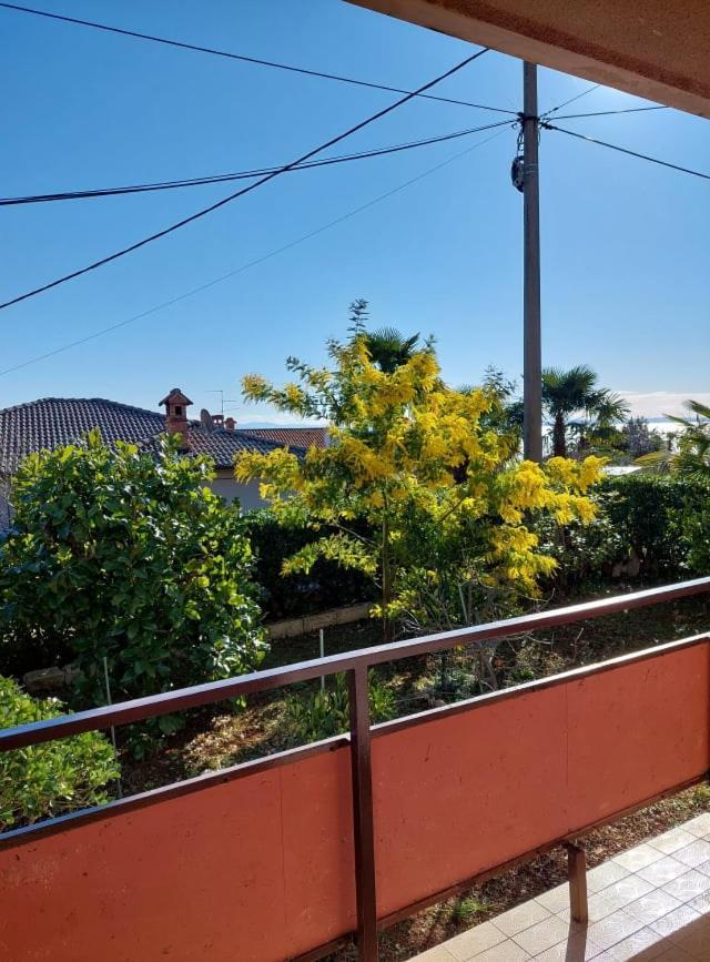 Rubin Apartamento Ika Exterior foto